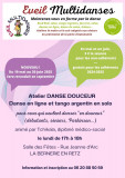 flyer-atelier-danse-douceur-53699