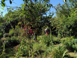 img-20200524-110846-1-50861
