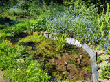 img-20240418-113657-50862