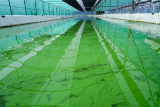 La Cabane à Spiruline