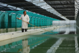 La Cabane à Spiruline