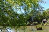 rendez-vous au jardin loire atlantique jardin de Beaumont La Bambouseraie à fresnay en retz villeneuve en retz