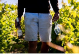 LES APÉRITIFS OENOLOGIQUES PORNIC