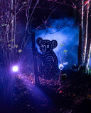 Les illuminations sauvages à Planète Sauvage port saint père