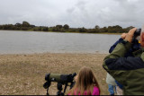 Etang des gatineaux, Animations, Saint-Michel-Chef-Chef, Sortie nature, Environnement, Oiseaux, Découverte, Nature