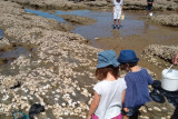 Sortie nature : les petites bêtes des rochers