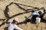 Mandala nature sur la plage de Saint-Michel