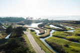 Marais de Lyarne groupe journée decouverte moutiers en retz pornic autocariste