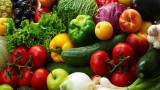 marché à la ferme, le jardin de mon père, vebnte à la ferme, commerce durable, petit marché local, rouans, port st père, cheix, vue, marché bio, produits bios, légumes, maraichers bios, pays de retz