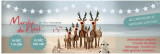 Marché de Noël à l'Éco Domaine Pornic