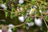 Sortie nature - BIODIVERSITE QUI ES-TU ?