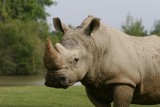 pornic parc animalier hébergement groupe insolite campement planete sauvage