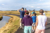 Oiseaux des Marais