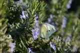 Sortie nature - BIODIVERSITE QUI ES-TU ?