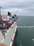 Sea fishing with Thomas Labis