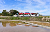 Petit train des Marais Salants de Guérande