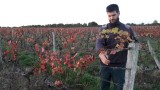 Visite du DOMAINE DU SILLON COTIER