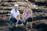 Sortie nature : Les algues, nouvelles saveurs marines