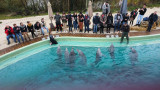rencontre-avec-les-dauphins-55997