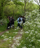 Sortie nature: balade botanique et gourmande Pornic