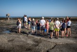 Sortie nature : En route pour la pêche à pied avec Échos Nature