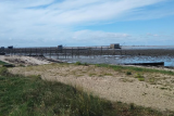 Sortie nature : la dune du Collet