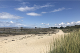 Sortie nature : la dune du Collet, oyats et immortelles