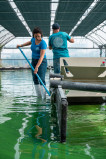 Visite entreprise, spiruline et algues, la plaine sur mer, mer et plage destination Pornic