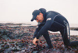 Spiruline et algues de Retz