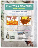 Stage pour découvrir les plantes et les pigments