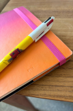 Stylo BIC 4 couleurs, pêcherie