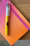 Stylo BIC 4 couleurs, pêcherie