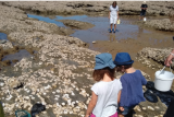 Auf den Felsen bei Ebbe association Hirondelle Saint Michel Chef Chef Destination Pornic