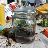 la vage éco-créative, préfailles, destination pornic, atelier, terrarium, remise à patache, végétal, coquillages, cailloux, mousse, éléments naturels