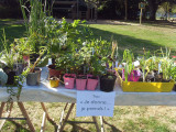 troc plantes la plaine sur mer jardinage potager