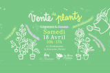Vente de plants - Légumes et fleurs