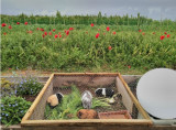Visite de la ferme en permaculture de l'Eco Domaine la Fontaine Pornic