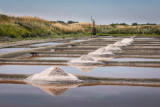 Visite de la saline Tenue de Mareil