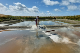 Visite de la saline Tenue de Mareil