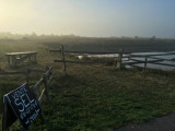 Visite de la saline Tenue de Mareil