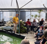 Visite de la Spiruline et Algues de Retz avec dégustation