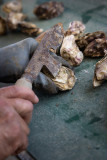 Visite du domaine ostréicole Les Viviers de la Côte de Jade aux Moutiers-en-Retz