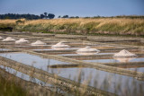 Visite du marais salant 