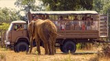 Visite du parc animalier PLANETE SAUVAGE