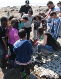 Visite enfant - Pêche à pied et littoral