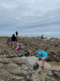 Visite explore la plage à marée basse