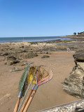 Visite explore la plage à marée basse, visite enfants, visite pêche à pied