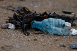 Word clean up day association Hirondelle protection nature écologie Destination Pornic
