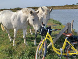 location vélo la plaine sur mer rando vélo 
