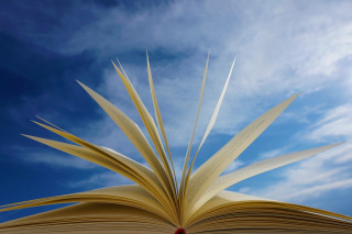 Activités des vacances à la bibliothèque